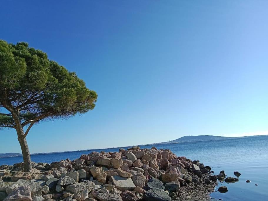 Вилла L'Astre Loupian Экстерьер фото